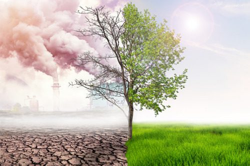 Insurers join business sector call for climate action