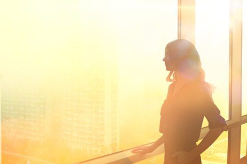 Former Greensill insurer gets new CEO – report