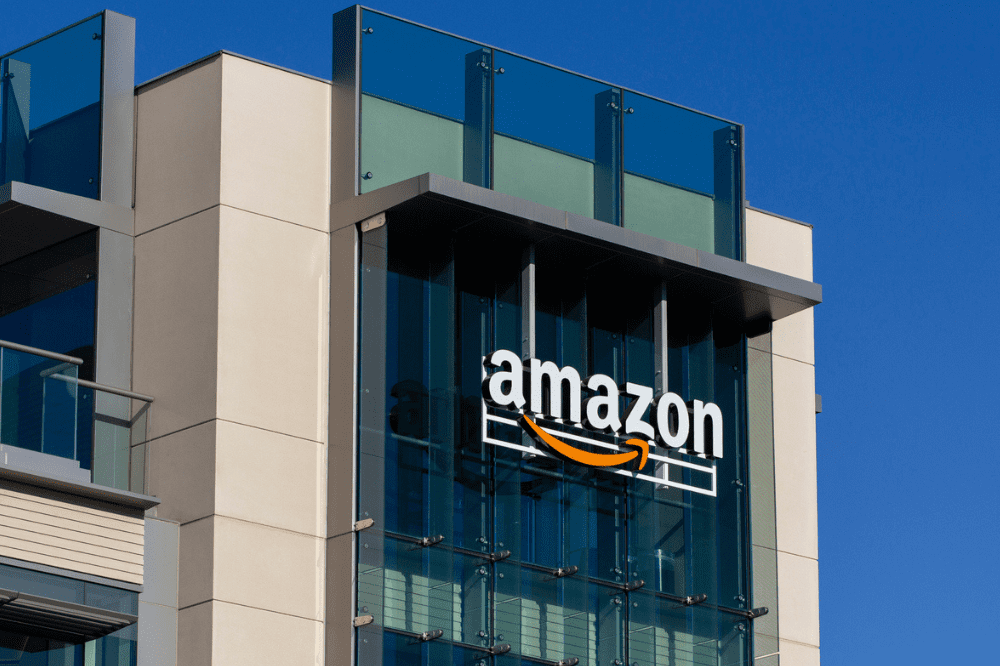 Amazon Insurance Store – who has the most to fear?