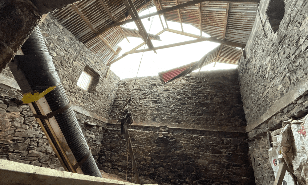 Revealed – impact of Storm Eowyn on agriculture sector