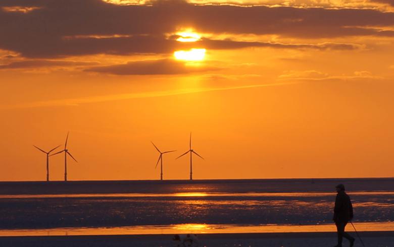 German govt to amend offshore wind energy law