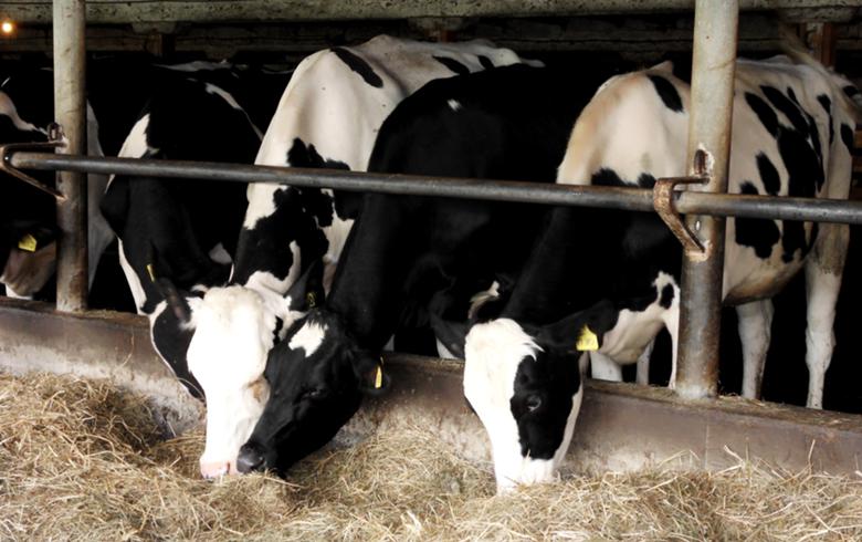 Orix USA invests in 3 anaerobic digestion projects