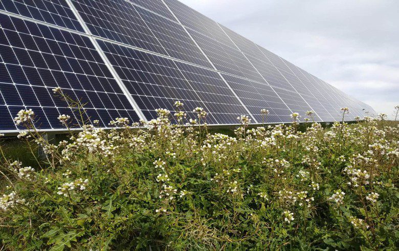 Spain’s Solaria, Basque Country form renewables JV