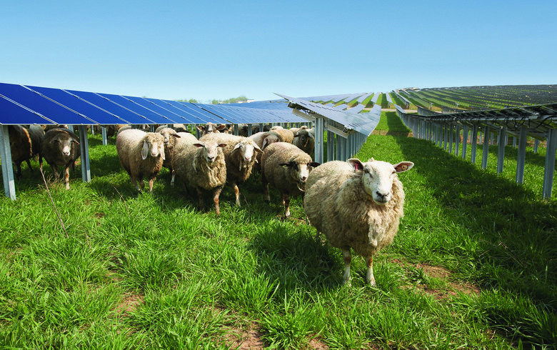 Kajima JV unveils plans for 44-MW solar park in Wales