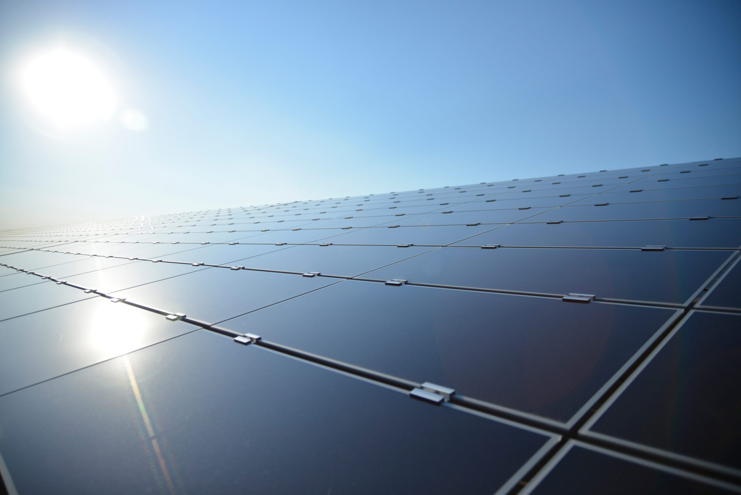 Belectric bags 53-MWp Dutch solar EPC job from Low Carbon