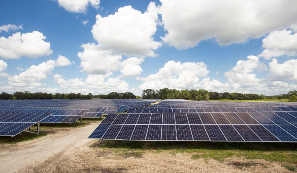 NextEra Energy FY profit up 16%, company extends forecast to 2026