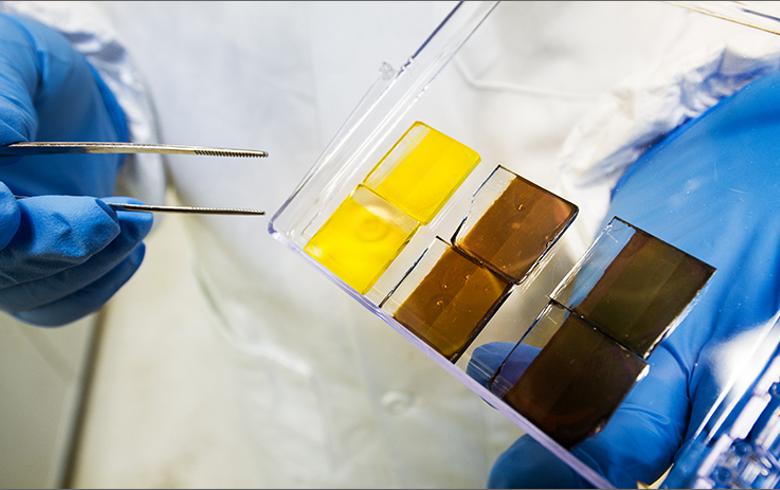 California perovskite tech firm Caelux raises USD 12m