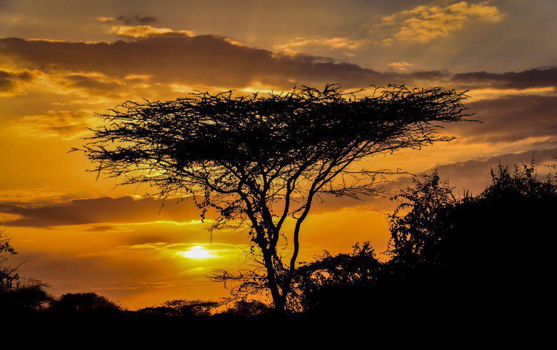 Masdar signs roadmap for up to 500 MW of solar in Ethiopia