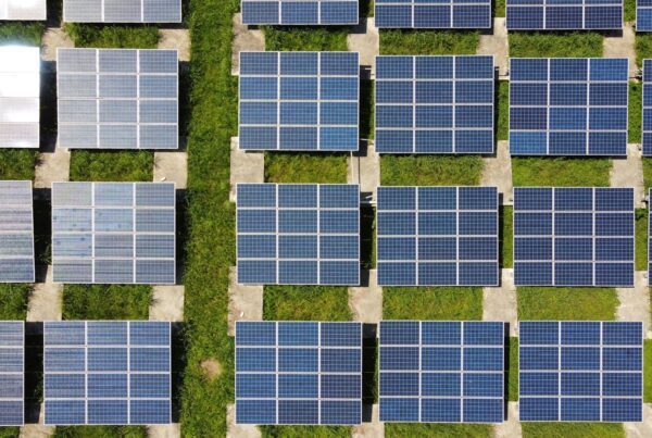 white and blue solar panels