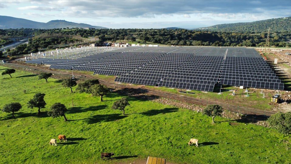 Trina Solar’s development arm signs 15-year PPA with EGO in Italy