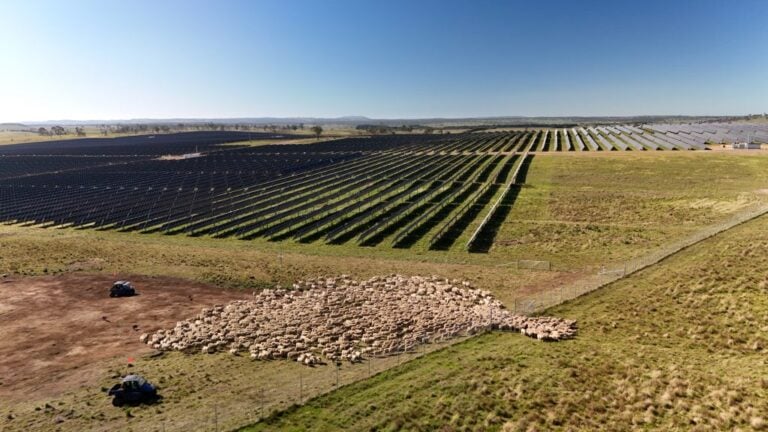Acen Australia seeks EPBC approval for 100MW solar-plus-storage site in New South Wales