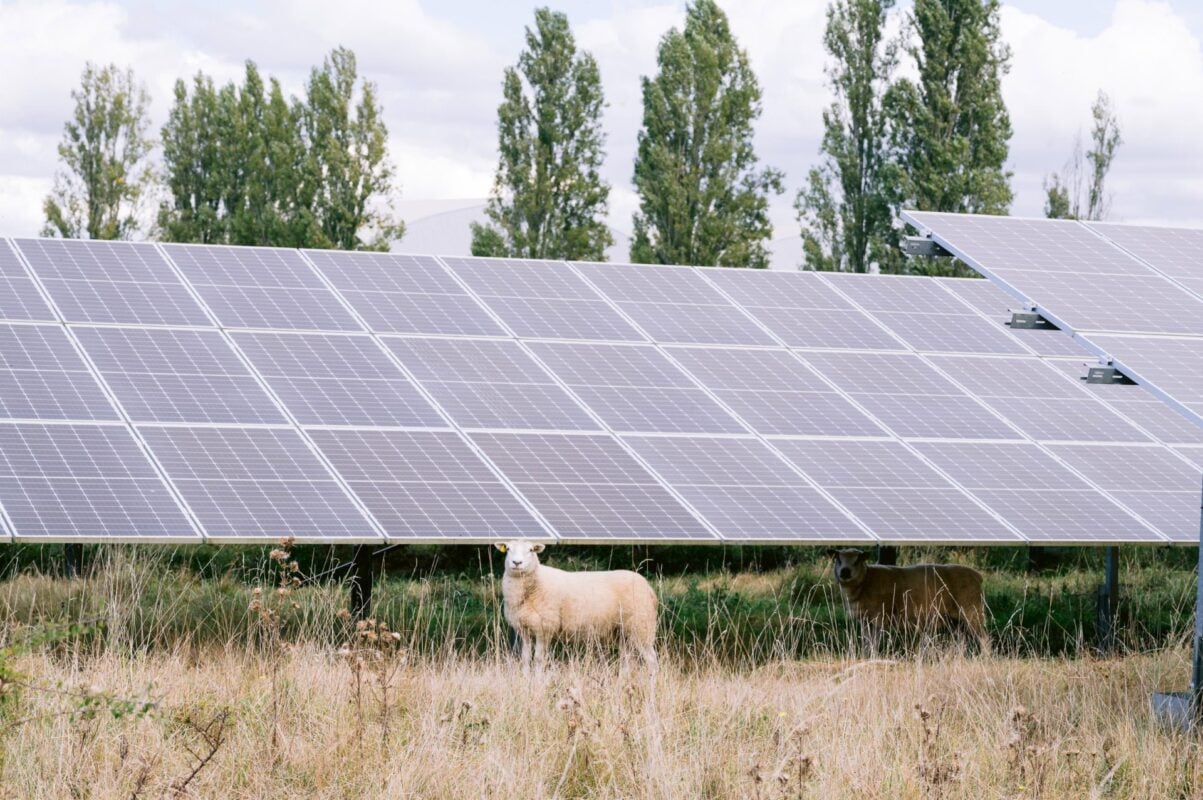 Baywa r.e sells 127MW French PV projects repurposing military sites, boosting biodiversity