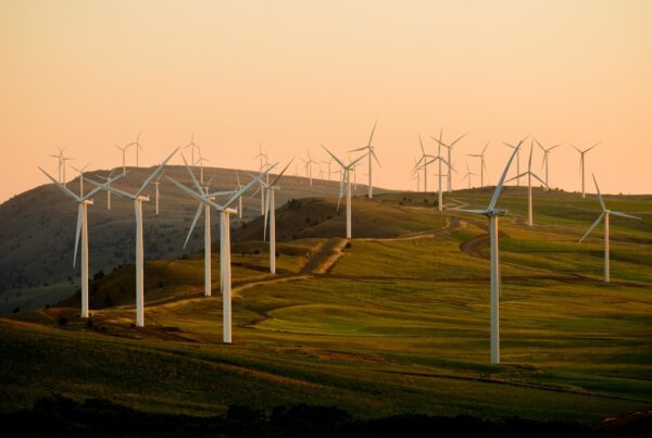windmills on green field under white sky during daytime