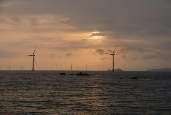 Wind turbines in the ocean at sunset