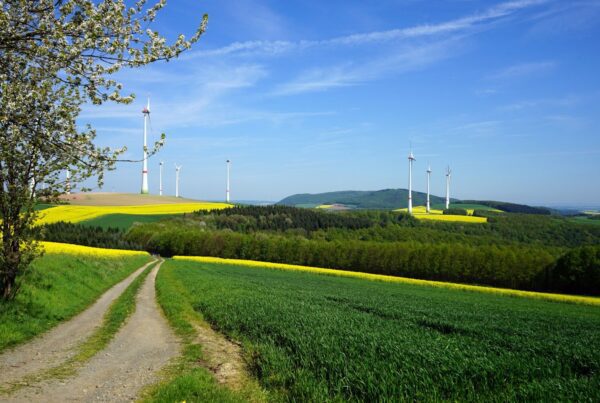 green grass field near wind turbines under blue sky during daytime